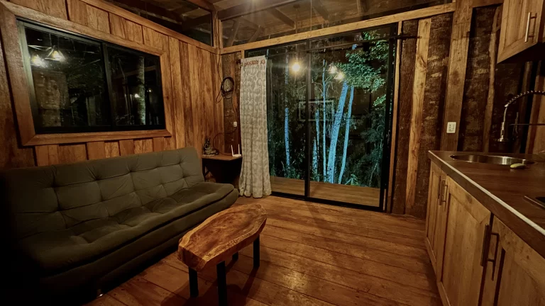 Zen oasis del bosque casa crisalida