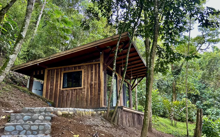 Zen oasis del bosque casa crisalida