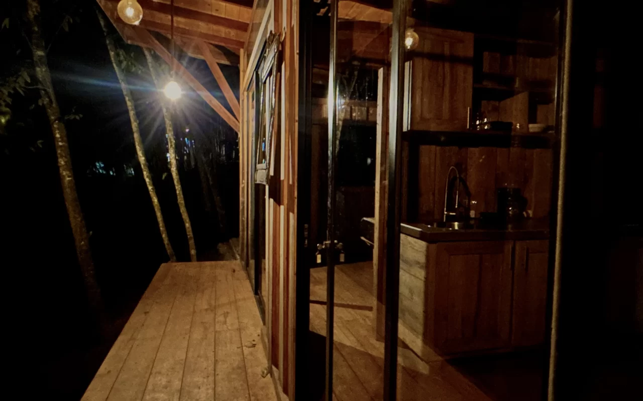 Zen oasis del bosque casa crisalida