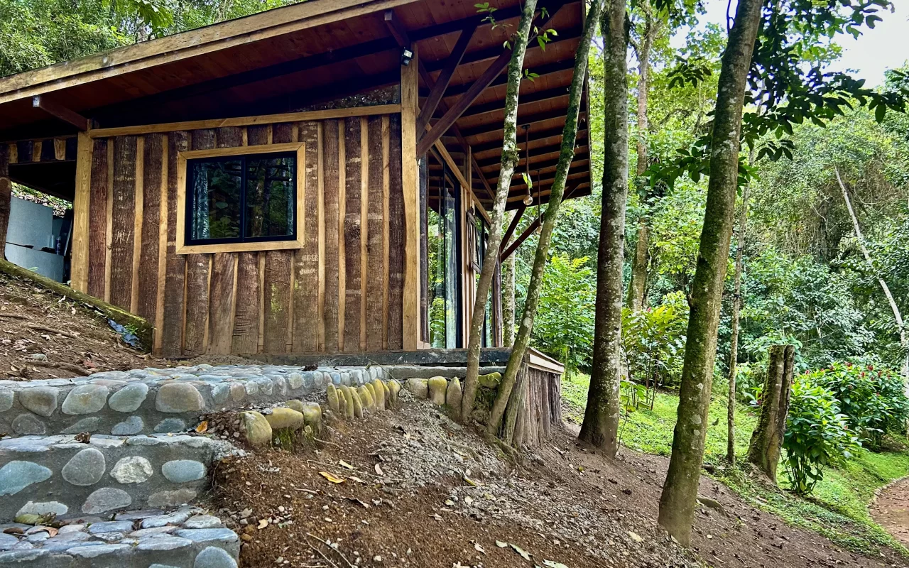 Zen oasis del bosque casa crisalida