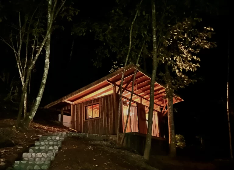 Zen oasis del bosque casa crisalida