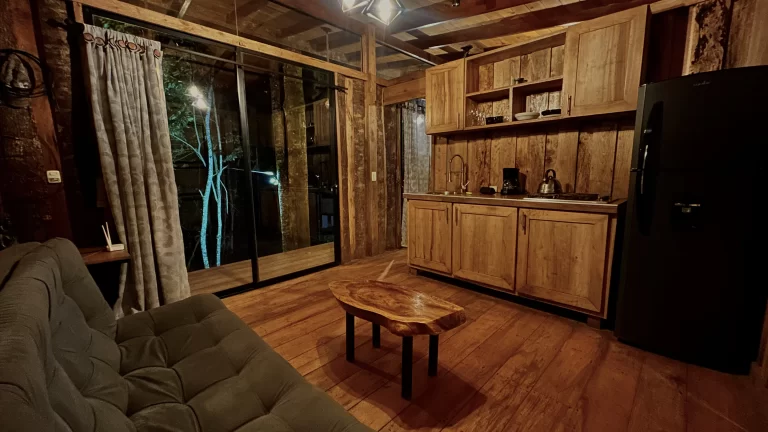 Zen oasis del bosque casa crisalida