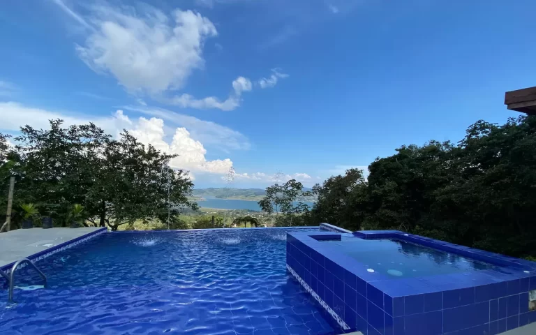 Piscina zen oasis del bosque 1