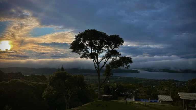 Zona BBQ: Sabores y Encuentros al Aire Libre