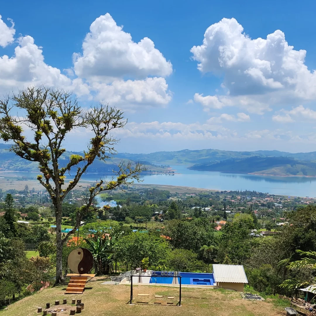 oasis del bosque vista al lago calima (2)